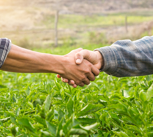 Az Élő Tisza velünk van! - Barát József, germensdorfi cseresznye, Nagykörű